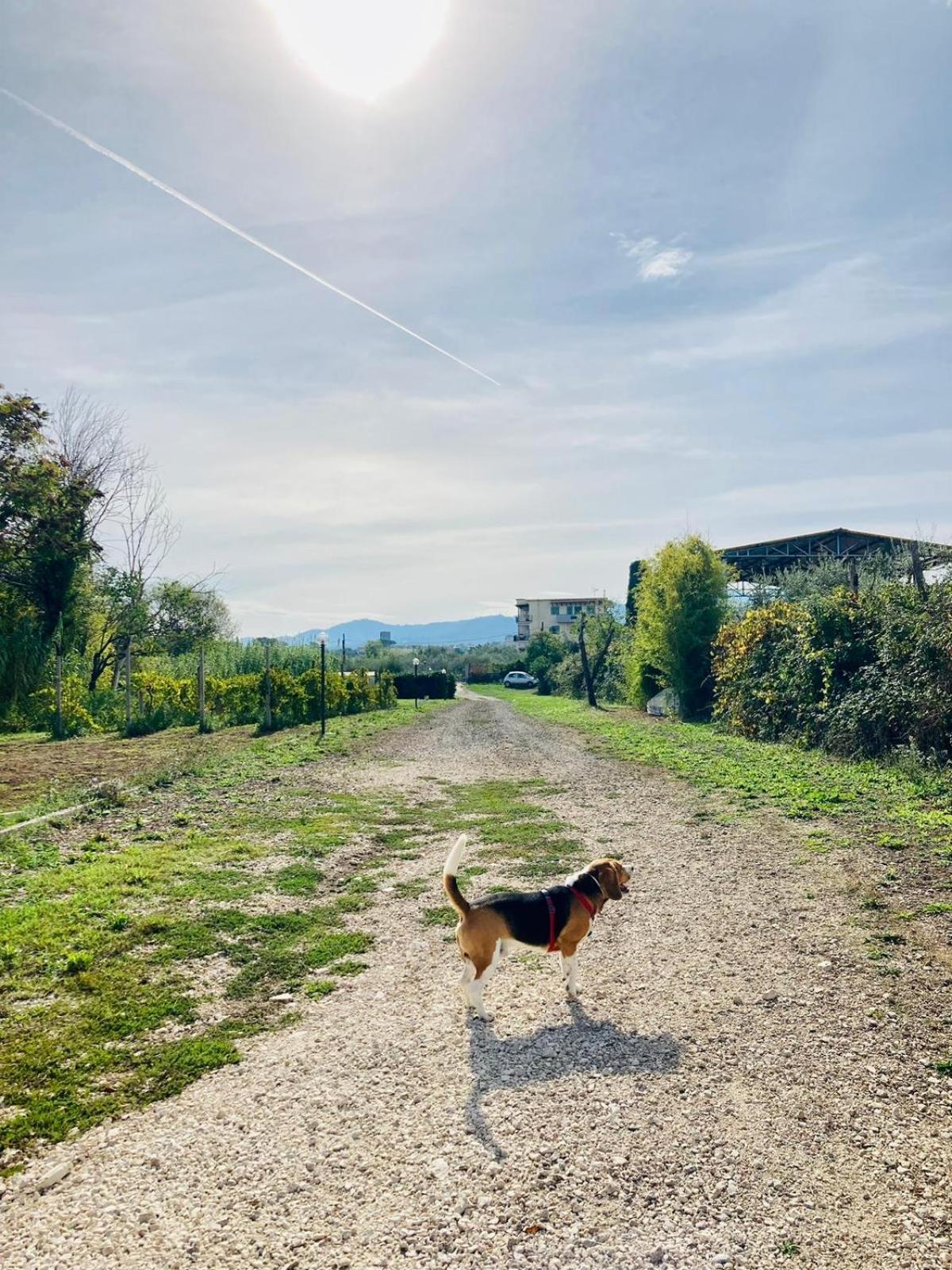 Villa Bubu, Appartamento Country-Chic Rome Luaran gambar