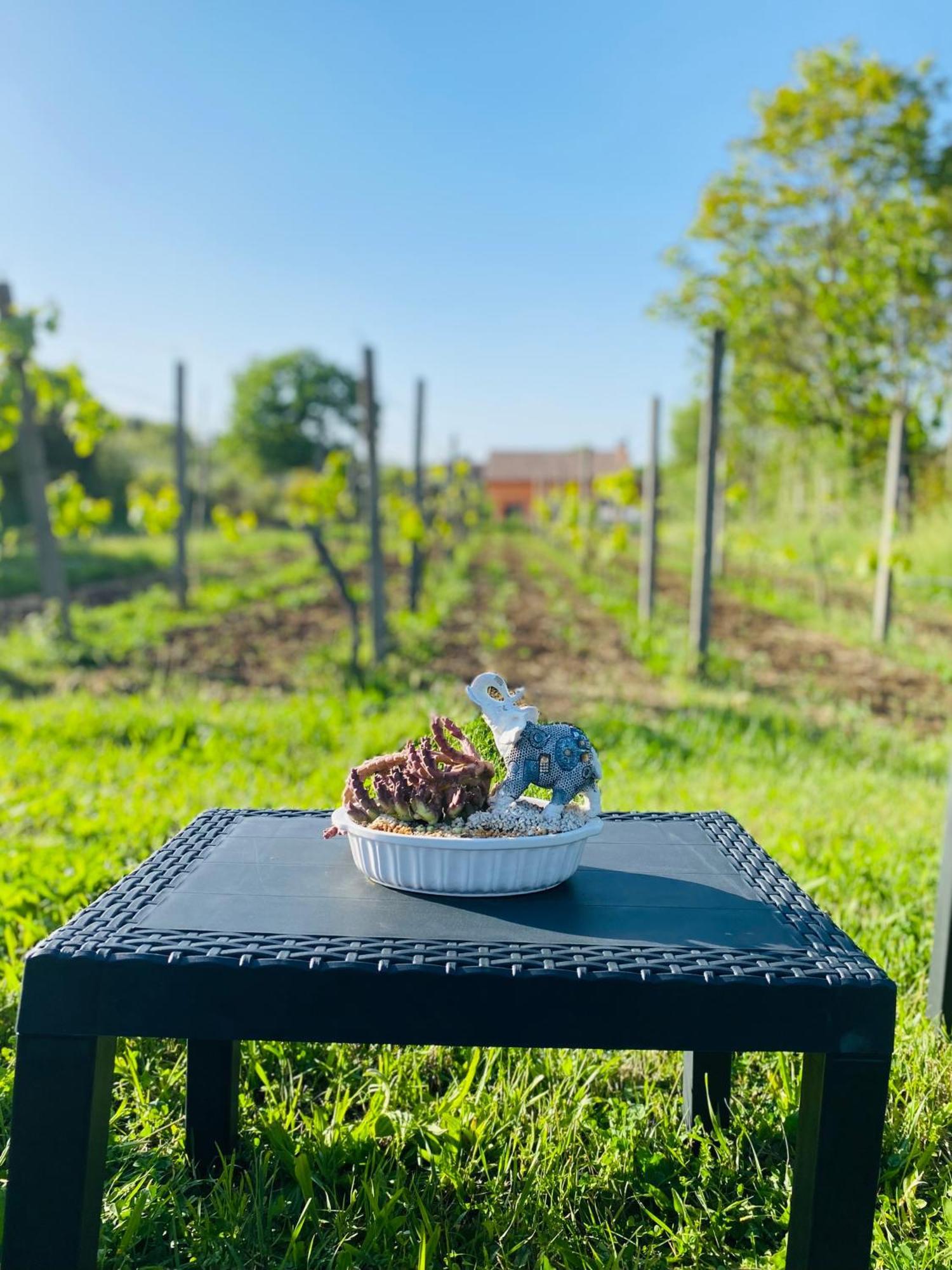 Villa Bubu, Appartamento Country-Chic Rome Luaran gambar